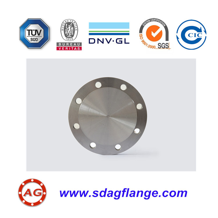 Special Blind Flange According to Drawing: Tailored Solutions for Precision and Performance